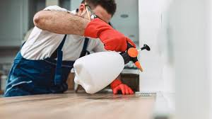 Best Pest Prevention Services  in Fulton, NY